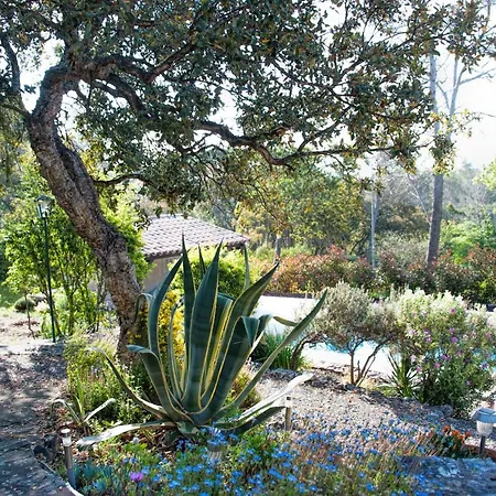 La Garriniere Bed & Breakfast Saint-Raphael (Var)